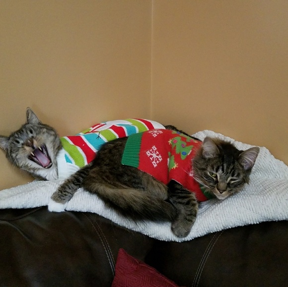 Meet your Posher, Jaime - Picture 11 of 16